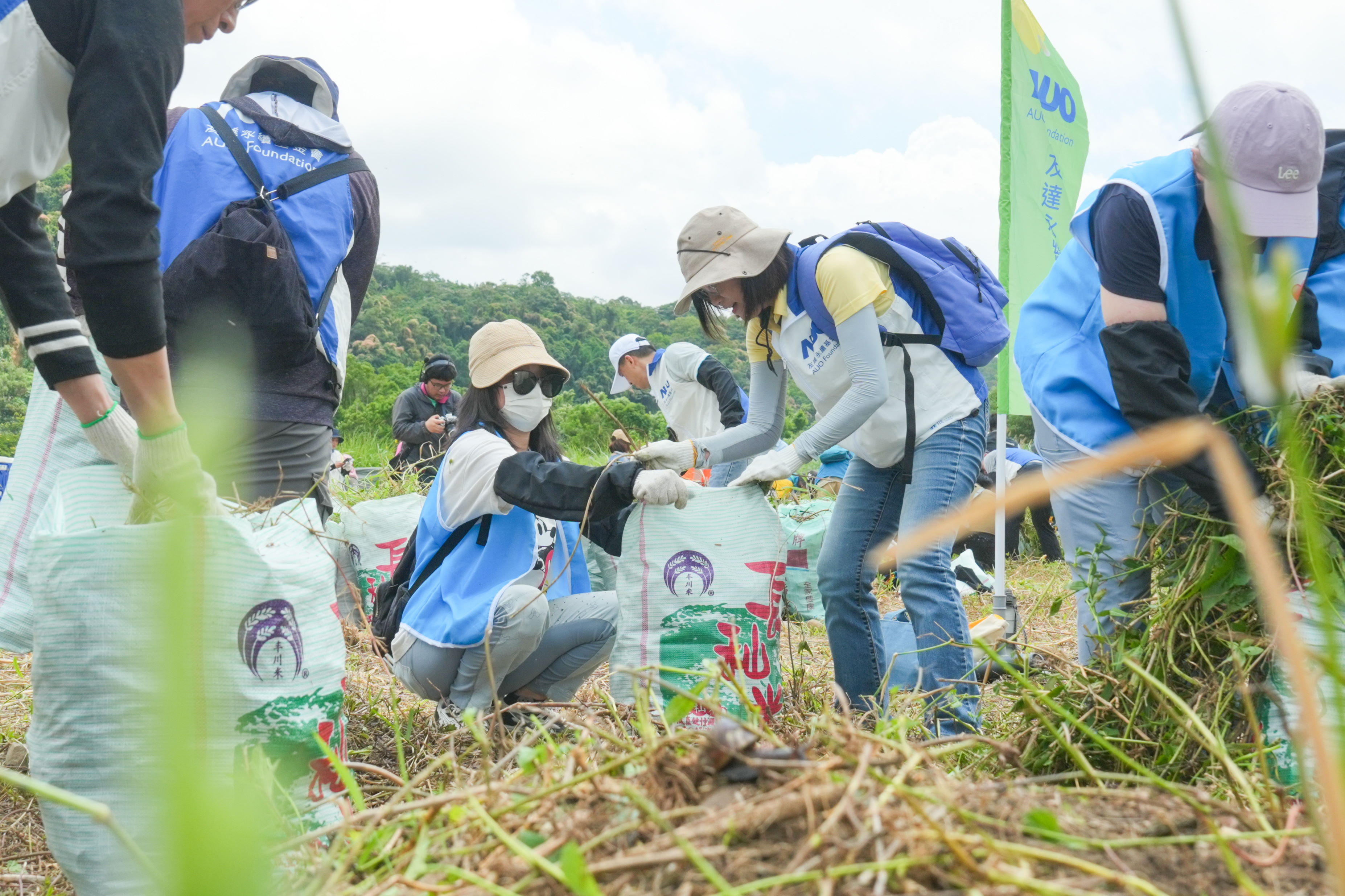 AG旗舰厅 (中国大陆) 除蔓防治計畫，除了鎖定霄裡溪沿岸3.2公里移除外來入侵種小花蔓澤蘭，並進行物種與空拍調查，共記錄91科181屬239種維管束植物，顯示該區域具高度生態價值